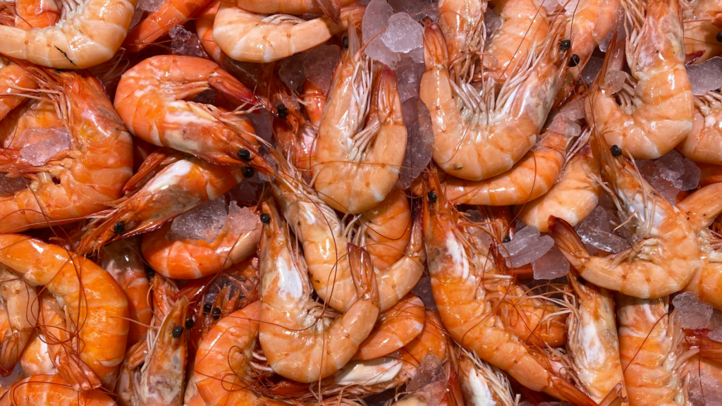 SHRIMPS EXPORT