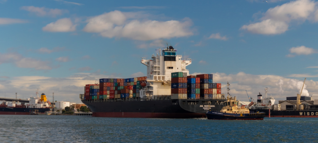 nmctrader export and import services